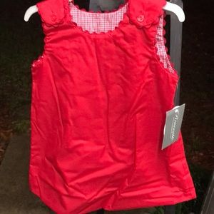 Red Aline dress reversible check or solid